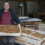 Une femme présente une caisse de kiwis