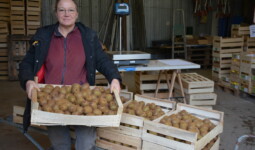 Une femme présente une caisse de kiwis