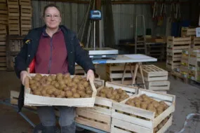 Une femme présente une caisse de kiwis
