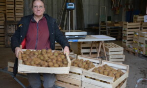 Une femme présente une caisse de kiwis