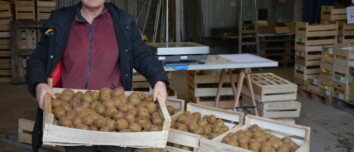 Une femme présente une caisse de kiwis