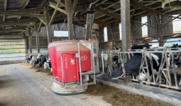 Un robot d'alimentation Lely en train de distribuer une ration à des vaches laitières de race Holstein.