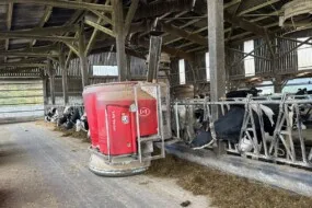 Un robot d'alimentation Lely en train de distribuer une ration à des vaches laitières de race Holstein.
