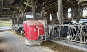 Un robot d'alimentation Lely en train de distribuer une ration à des vaches laitières de race Holstein.