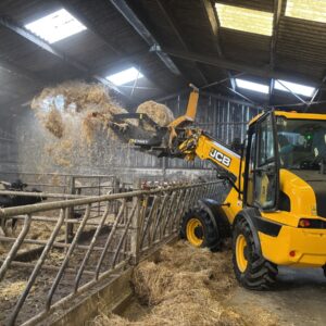 Une chargeuse articulée dans un bâtiment d'élevage bovin