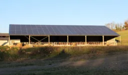 Un bâtiment d'élevage bovin avec une couverture en panneaux photovoltaïques