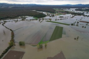 Vur aérienne de champ totalement innondés