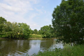 Une grande rivière paisible entourée d'arbre et de champs