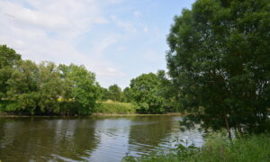 Une grande rivière paisible entourée d'arbre et de champs