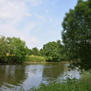Une grande rivière paisible entourée d'arbre et de champs