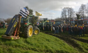 Des tracteurs sur un rond point