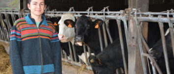 Une femme devant des vaches au cornadis dans un bâtiment d'élevage bovin