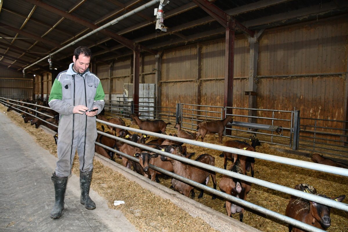 Le pilotage du système de paillage peut se faire via un smartphone.
