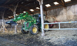 Un tracteur et une dérouleuse-pailleuse en fonctionnement dans une stabulation