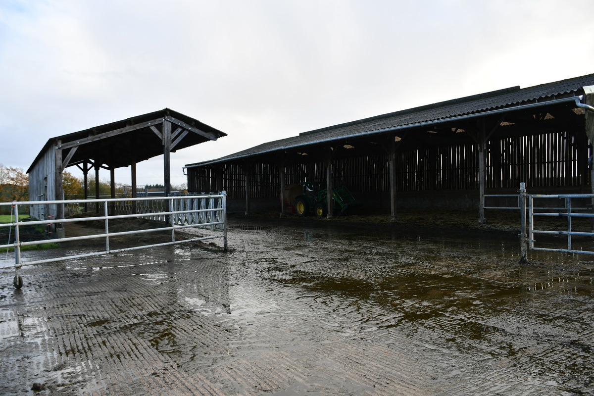 vue sur des bâtimentsbâtiments d'élevage dans une ferme