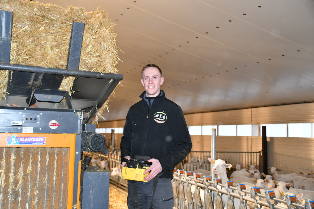 Un éleveur à côté d'une pailleuse dans un bâtiment d'élevage de chevrettes