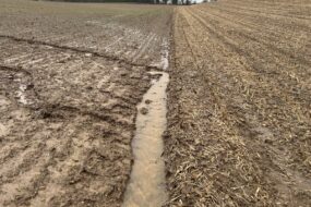 Erosion due à la pluie dans un champ