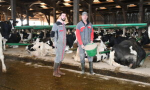 Deux hommes devant des vaches dans des logettes