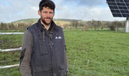 Un homme devant des champs