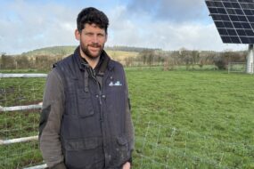 Un homme devant des champs