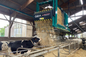 Dans un bâtiment d'élevage, un robot suspendu passe au dessus de logettes pour pailler