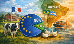 Infographie sur le Mercosur