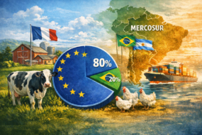 Infographie sur le Mercosur