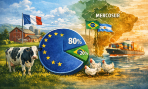 Infographie sur le Mercosur