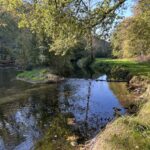 Une rivère dans un paysage de bocage