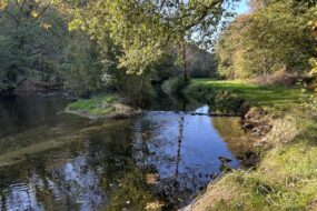 Une rivère dans un paysage de bocage