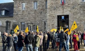 Des manifestants du syndicat agricole de la Confédération Paysanne portent leurs drapeaux jaunes devant le mur en pierres d'une mairie