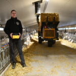 Un homme manie une dérouleuse-pailleuse à l'aide d'une télécommande dans un bâtiment d'élevage de chèvres