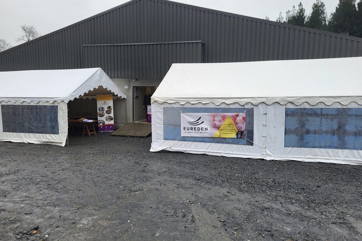 Deux chapitaux dans une cour devant un bâtiment d'élevage de porc - Illustration Nouveau bâtiment d’engraissement : l’atout pédagogique du Nivot