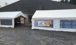 Deux chapitaux dans une cour devant un bâtiment d'élevage de porc