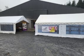 Deux chapitaux dans une cour devant un bâtiment d'élevage de porc