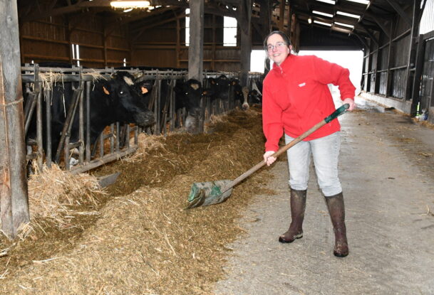 une femme dans une stabulation pousse le fourrage avec un outil vers les vaches au cornadis