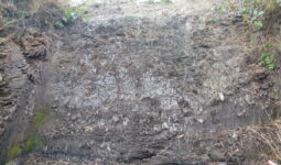 Gros plan sur un trou d'extraction de tourbe