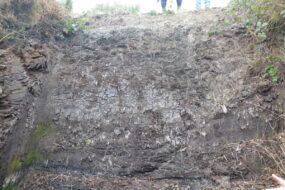 Gros plan sur un trou d'extraction de tourbe