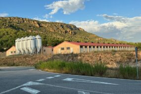 Des silos devant les bâtiments d'un élevage de porc en Espagne