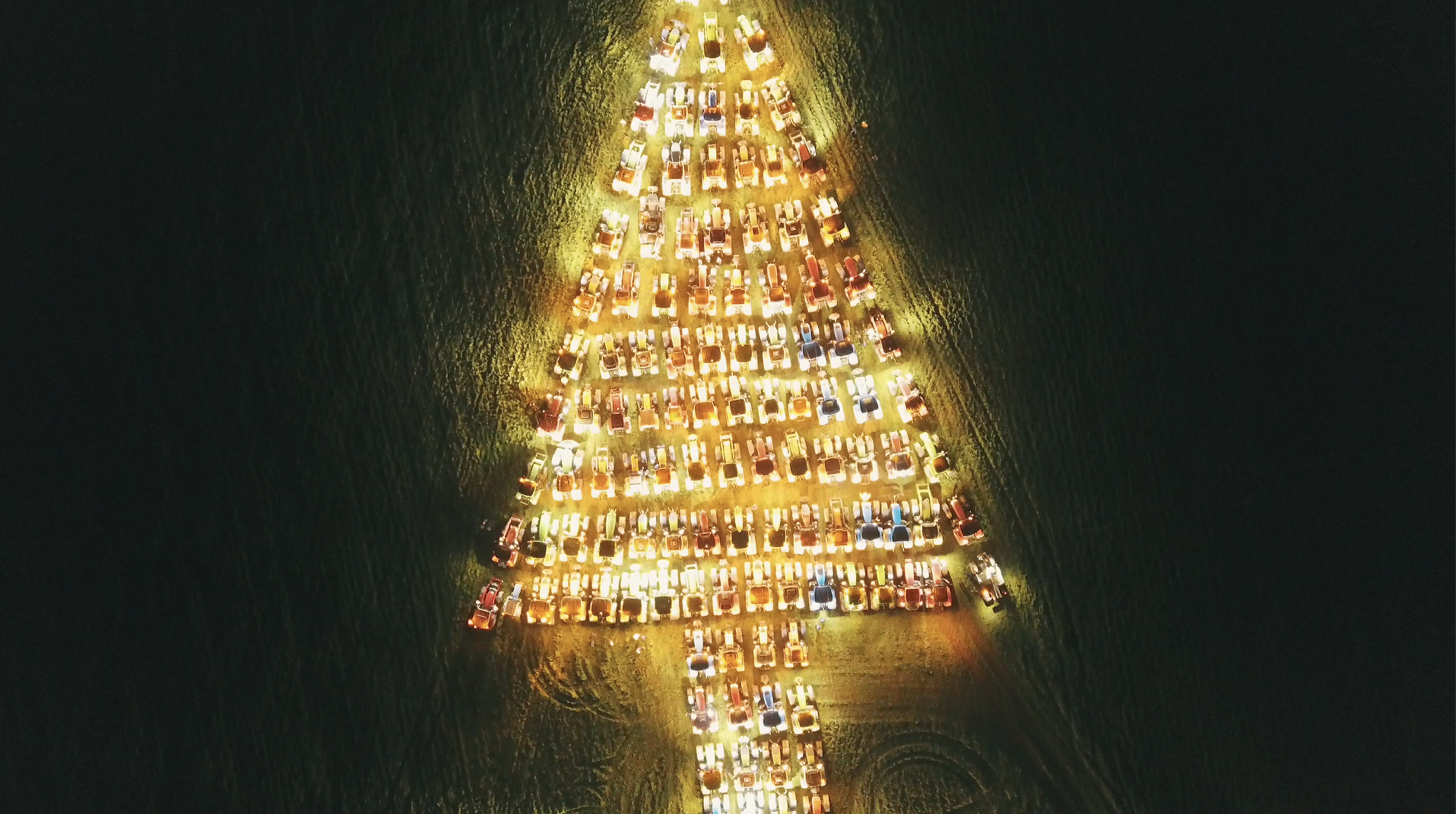 Générique Pics Pour Sapin De Noël - 45 Pièces Branches Artificielles