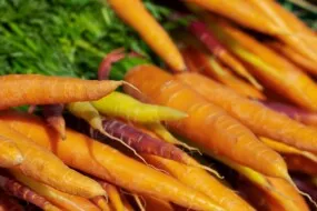 botte de carottes