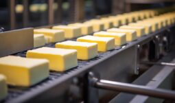 Des plaquettes de beurre sur une chaine de production industrielle