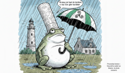 Un dessun d'une grenouille sous la pluie avec une coiffre bretonne et un parapluie. dans la bulle un proverbe en breton qui se traduit par : quand le soleil se lèvera, la pluie cessera