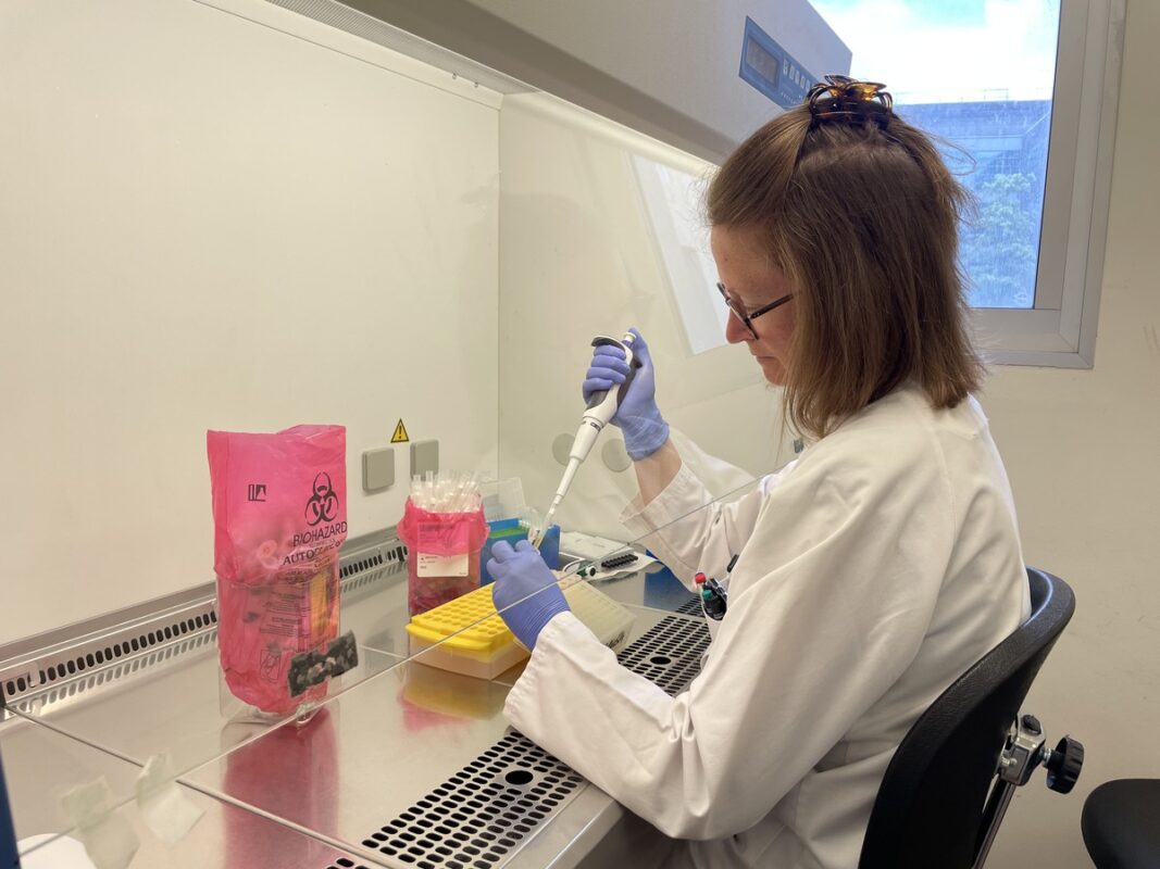 Manipulation au laboratoire de Lille pour déterminer le microbiote d'un élevage