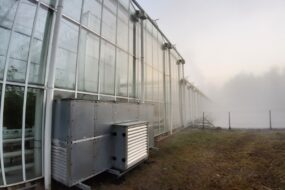 Extérieur d'une serre de tomate