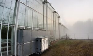 Extérieur d'une serre de tomate