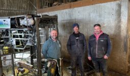 Trois hommes à côté d'une cage de parage pour bovins