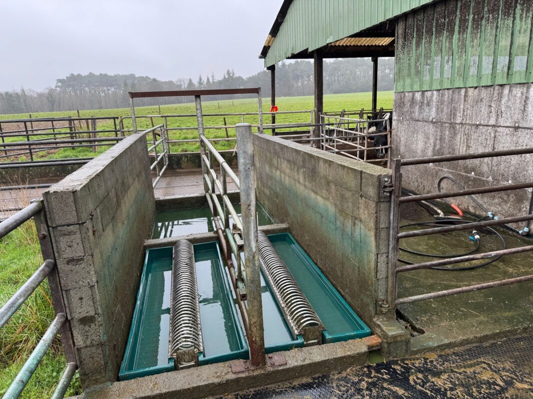 Une installation pour réaliser des pédiluves à l'extérieur d'un bâtiment sur un élevage laitier