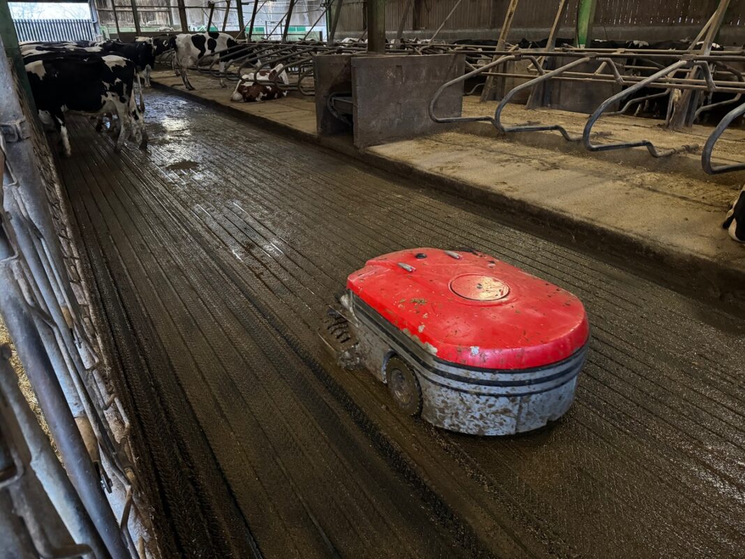 Les robots aspirateur ou collecteur de lisier sont efficace pour assurer la propreté des sols dans les étables pour vaches laitières