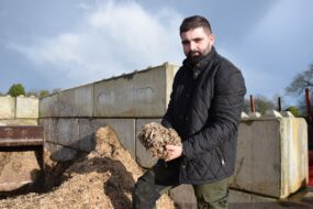Un homme devant un silo de rhizomes de miscanthus « régénéré ».avec une poignée de ces rhizomes dans les mains